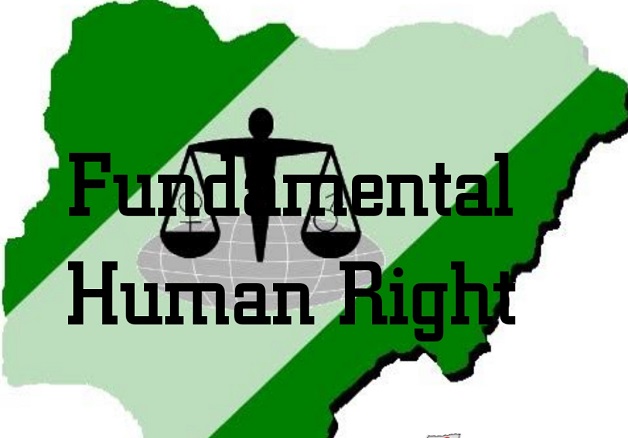 Courts That Can Hear Cases of Fundamental Human Rights In Nigeria.