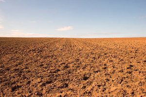 Government Cannot Pay Compensation For An Empty Land After A Compulsory Acquistion