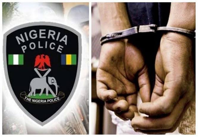 You Are Entitled To Reasons For Your Arrest From Nigeria Police or Any Person Arresting You