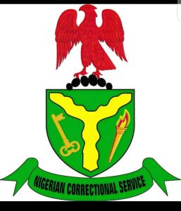 How To Appoint Controller-general Of Nigerian Correctional Services