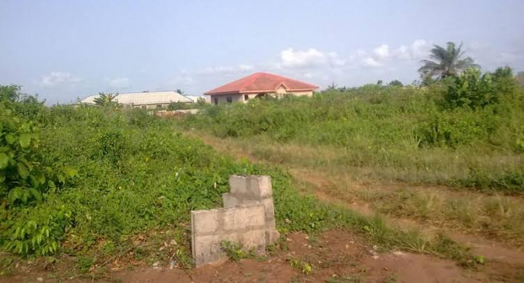 Minimum Age For Land Owners In Nigeria Is Not 18 Years