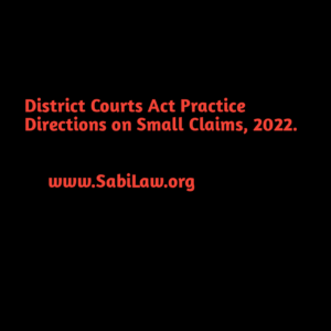 District Courts Act Practice Directions on Small Claims, 2022