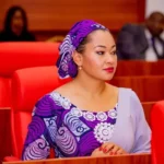 A Discourse on the Legal Overhaul of the Pending Appeal Case Involving Senator Natasha Akpoti and the Nigerian Senate into an Academic Exercise.