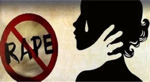 ‘The Law as an Ass? A Critique of the Supreme Court’s Decision in Lucky v. State on Rape Sentencing’