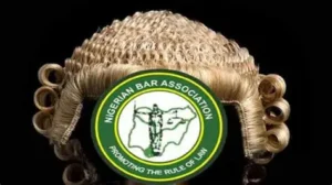 Beyond the Call to Bar: Mentorship and the Future of the Nigerian Legal Profession