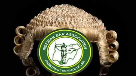Beyond the Call to Bar: Mentorship and the Future of the Nigerian Legal Profession