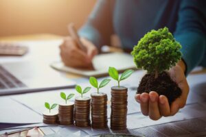 Beyond Financial Performance: Assessing Corporate Governance as a Factor in the Investment Analysis of Nigerian Listed Companies.